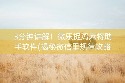3分钟讲解！微乐捉鸡麻将助手软件(揭秘微信里规律攻略)