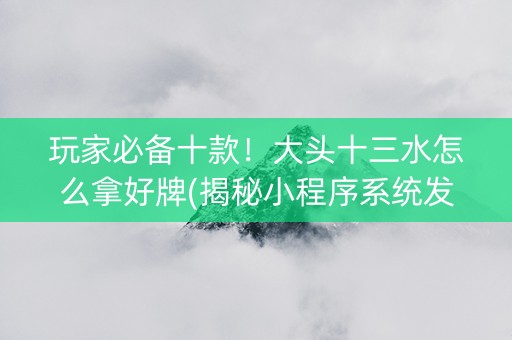 玩家必备十款！大头十三水怎么拿好牌(揭秘小程序系统发好牌)