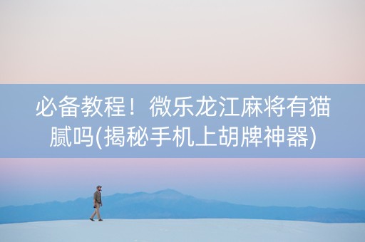 必备教程！微乐龙江麻将有猫腻吗(揭秘手机上胡牌神器)