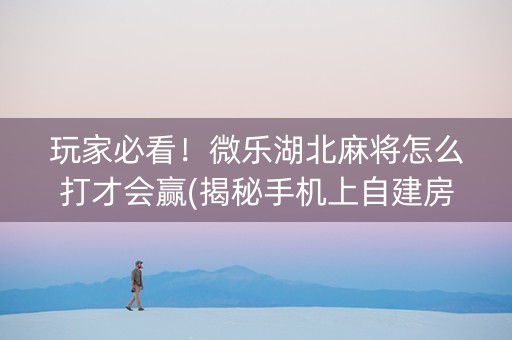 玩家必看！微乐湖北麻将怎么打才会赢(揭秘手机上自建房怎么赢)