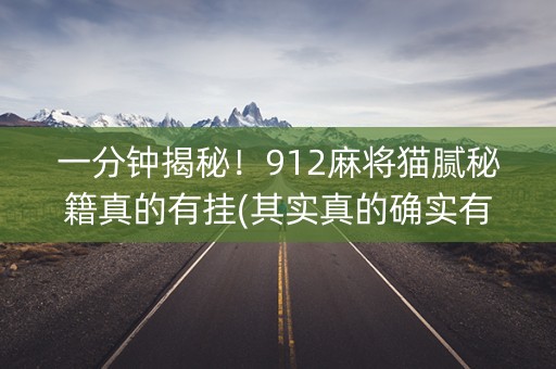 一分钟揭秘！912麻将猫腻秘籍真的有挂(其实真的确实有挂)