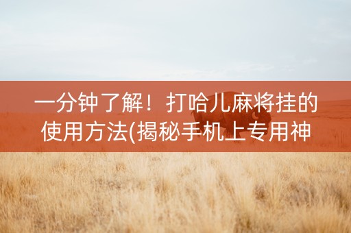 一分钟了解！打哈儿麻将挂的使用方法(揭秘手机上专用神器)