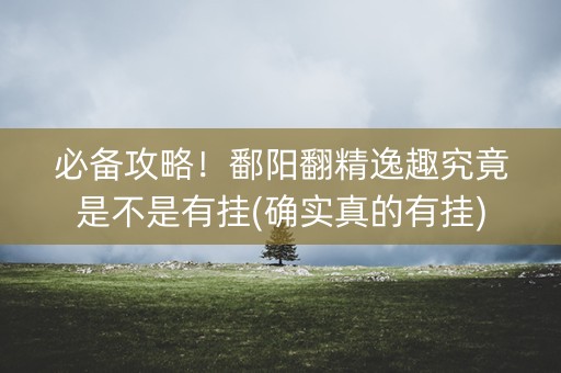 必备攻略！鄱阳翻精逸趣究竟是不是有挂(确实真的有挂)