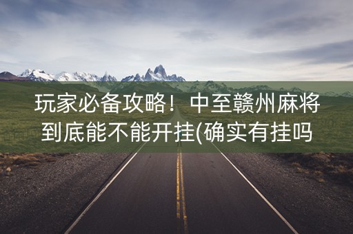 玩家必备攻略！中至赣州麻将到底能不能开挂(确实有挂吗)