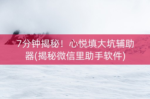 7分钟揭秘！心悦填大坑辅助器(揭秘微信里助手软件)