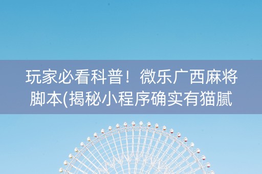 玩家必看科普！微乐广西麻将脚本(揭秘小程序确实有猫腻)
