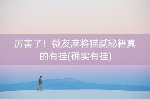 厉害了！微友麻将猫腻秘籍真的有挂(确实有挂)