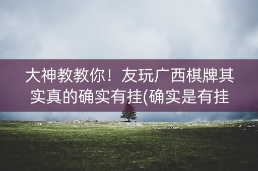 大神教教你！友玩广西棋牌其实真的确实有挂(确实是有挂的)