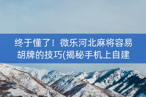 终于懂了！微乐河北麻将容易胡牌的技巧(揭秘手机上自建房怎么赢)