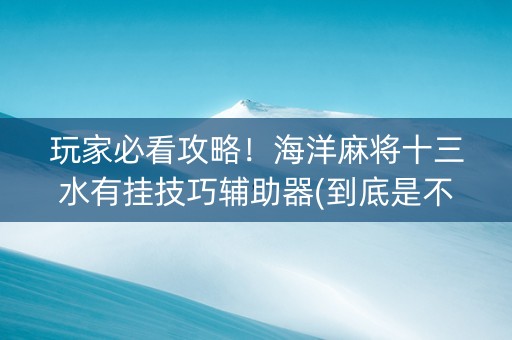 玩家必看攻略！海洋麻将十三水有挂技巧辅助器(到底是不是有挂)
