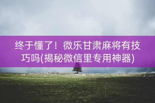 终于懂了！微乐甘肃麻将有技巧吗(揭秘微信里专用神器)