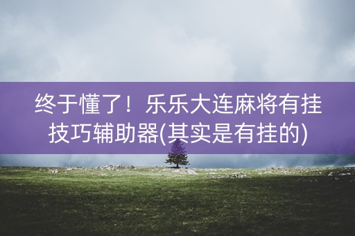 终于懂了！乐乐大连麻将有挂技巧辅助器(其实是有挂的)