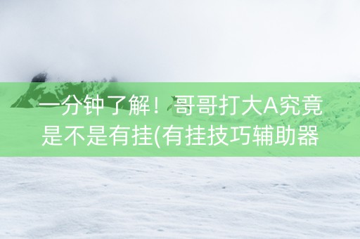一分钟了解！哥哥打大A究竟是不是有挂(有挂技巧辅助器)