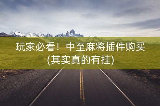 玩家必看！中至麻将插件购买(其实真的有挂)