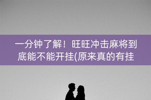 一分钟了解！旺旺冲击麻将到底能不能开挂(原来真的有挂)