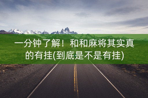 一分钟了解！和和麻将其实真的有挂(到底是不是有挂)
