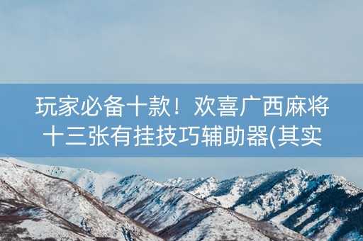 玩家必备十款！欢喜广西麻将十三张有挂技巧辅助器(其实确实有挂)