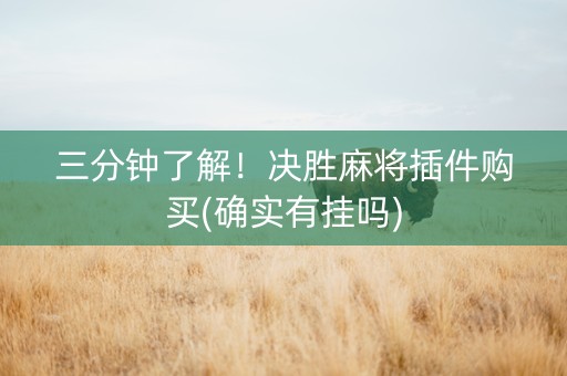 三分钟了解！决胜麻将插件购买(确实有挂吗)