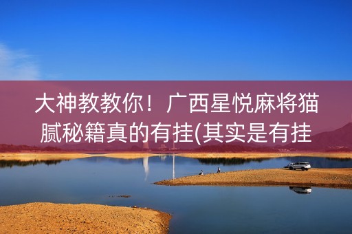 大神教教你！广西星悦麻将猫腻秘籍真的有挂(其实是有挂确实有挂)