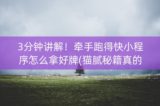 3分钟讲解！牵手跑得快小程序怎么拿好牌(猫腻秘籍真的有挂)