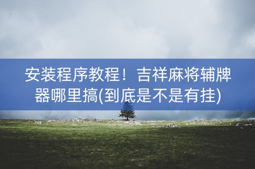 安装程序教程！吉祥麻将辅牌器哪里搞(到底是不是有挂)