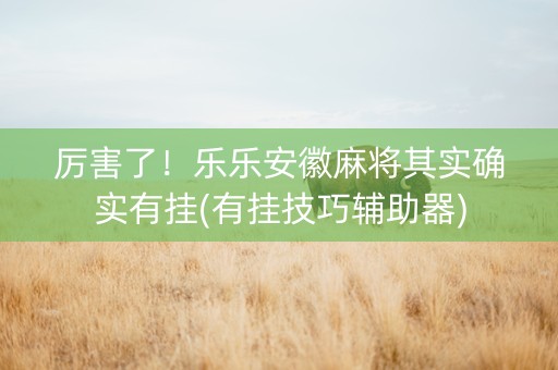 厉害了！乐乐安徽麻将其实确实有挂(有挂技巧辅助器)