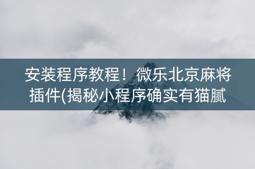 安装程序教程！微乐北京麻将插件(揭秘小程序确实有猫腻)