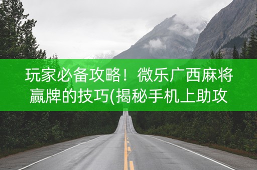 玩家必备攻略！微乐广西麻将赢牌的技巧(揭秘手机上助攻神器)