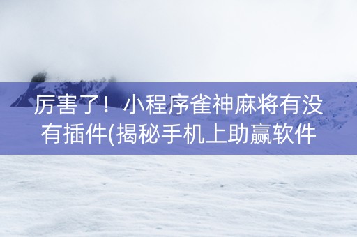 厉害了！小程序雀神麻将有没有插件(揭秘手机上助赢软件)