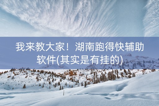 我来教大家！湖南跑得快辅助软件(其实是有挂的)