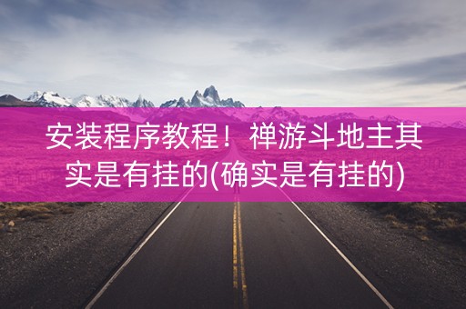安装程序教程！禅游斗地主其实是有挂的(确实是有挂的)