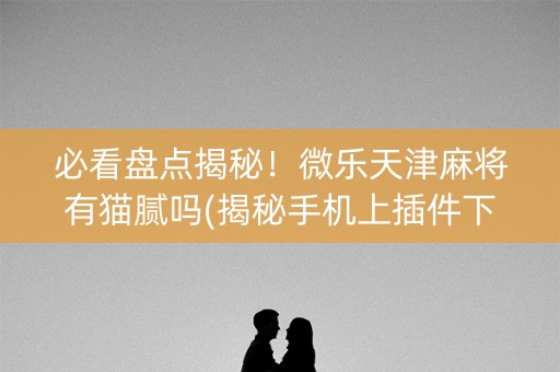 必看盘点揭秘！微乐天津麻将有猫腻吗(揭秘手机上插件下载)