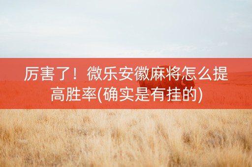 厉害了！微乐安徽麻将怎么提高胜率(确实是有挂的)