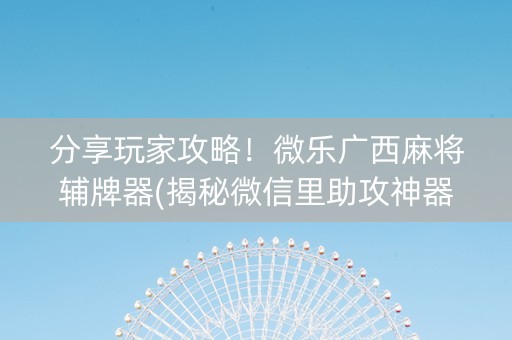 分享玩家攻略！微乐广西麻将辅牌器(揭秘微信里助攻神器)