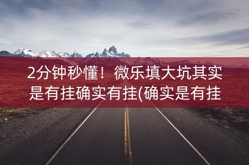 2分钟秒懂！微乐填大坑其实是有挂确实有挂(确实是有挂)