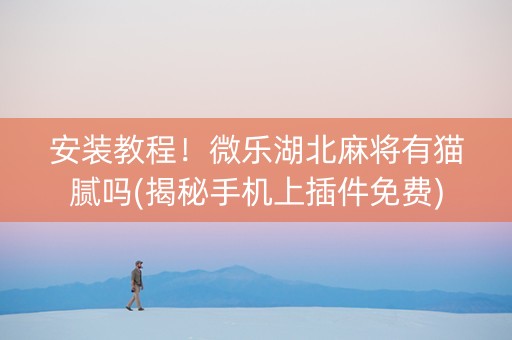 安装教程！微乐湖北麻将有猫腻吗(揭秘手机上插件免费)