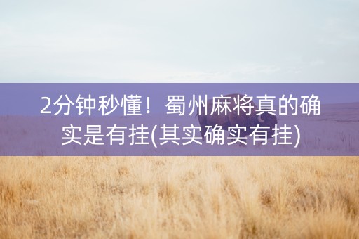 2分钟秒懂！蜀州麻将真的确实是有挂(其实确实有挂)
