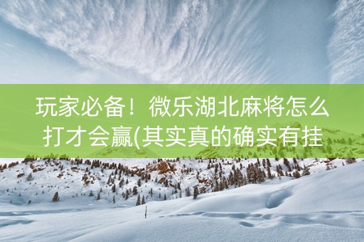 玩家必备！微乐湖北麻将怎么打才会赢(其实真的确实有挂)