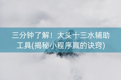 三分钟了解！大头十三水辅助工具(揭秘小程序赢的诀窍)