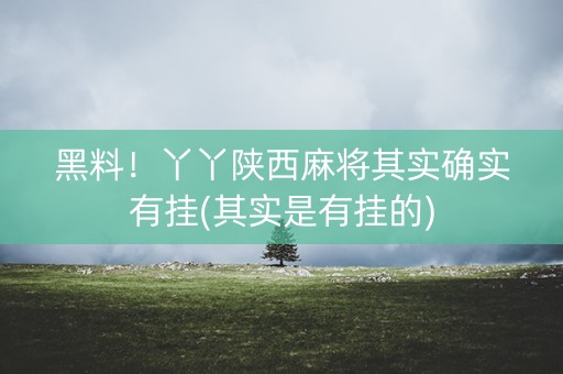 黑料！丫丫陕西麻将其实确实有挂(其实是有挂的)