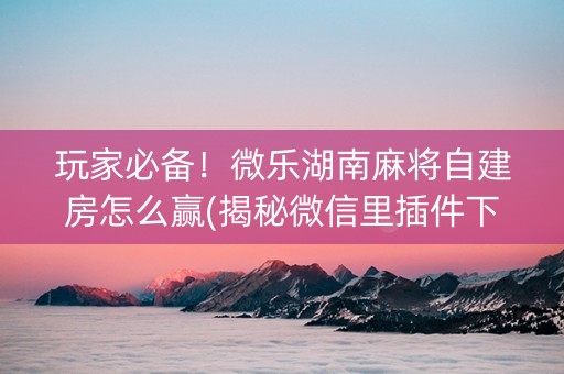 玩家必备！微乐湖南麻将自建房怎么赢(揭秘微信里插件下载)