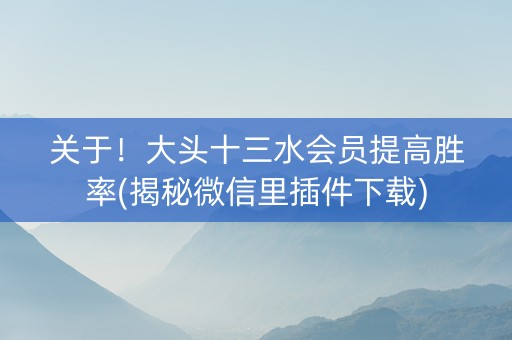 关于！大头十三水会员提高胜率(揭秘微信里插件下载)