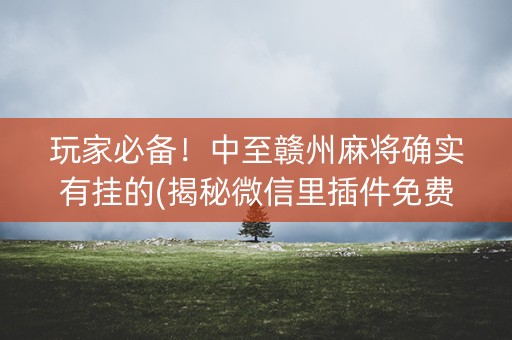 玩家必备！中至赣州麻将确实有挂的(揭秘微信里插件免费)