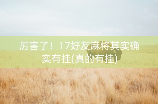厉害了！17好友麻将其实确实有挂(真的有挂)