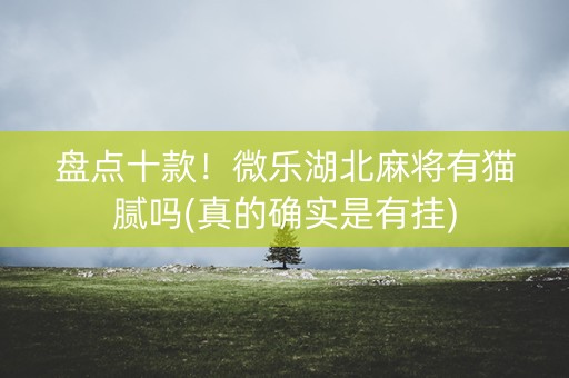 盘点十款！微乐湖北麻将有猫腻吗(真的确实是有挂)