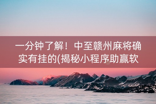 一分钟了解！中至赣州麻将确实有挂的(揭秘小程序助赢软件)
