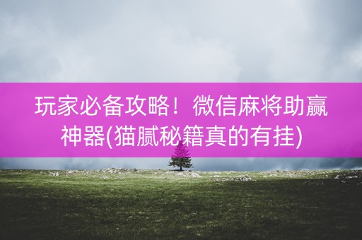 玩家必备攻略！微信麻将助赢神器(猫腻秘籍真的有挂)