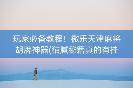 玩家必备教程！微乐天津麻将胡牌神器(猫腻秘籍真的有挂)