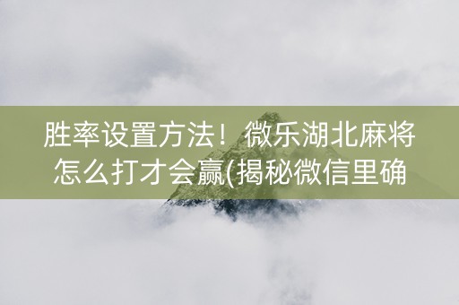胜率设置方法！微乐湖北麻将怎么打才会赢(揭秘微信里确实有猫腻)