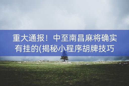 重大通报！中至南昌麻将确实有挂的(揭秘小程序胡牌技巧)